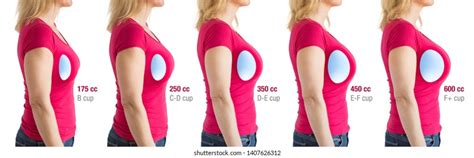 c cup breasts|Breast Size Comparison Side by Side